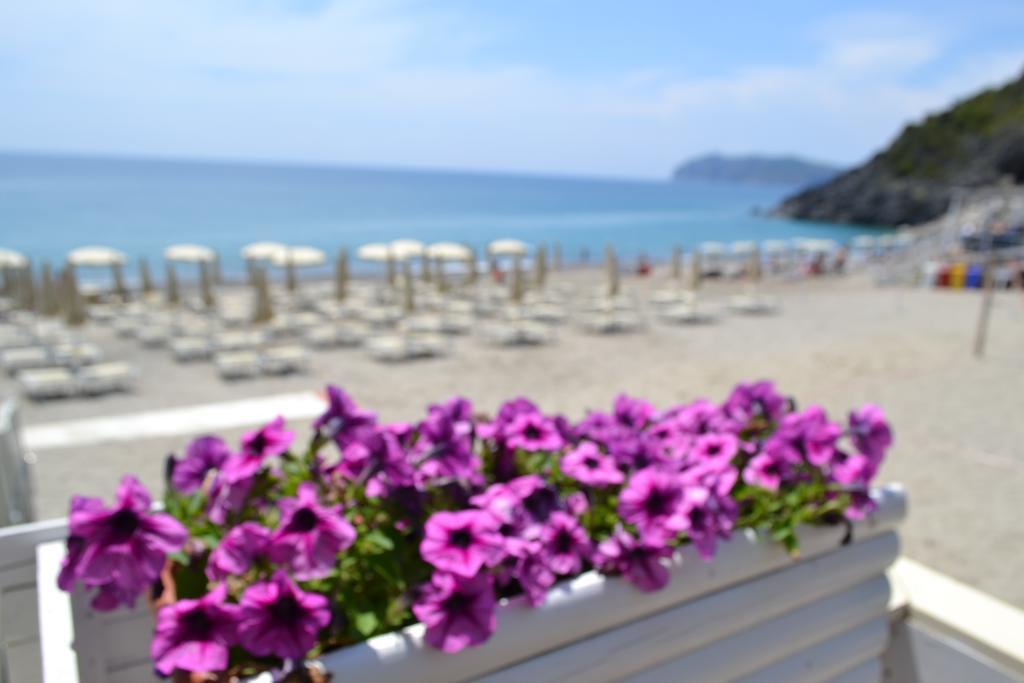 Villaggio Garden Park Marina di Camerota Dış mekan fotoğraf
