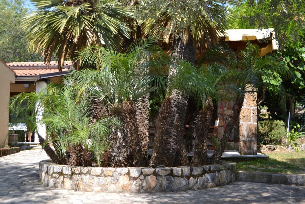 Villaggio Garden Park Marina di Camerota Dış mekan fotoğraf