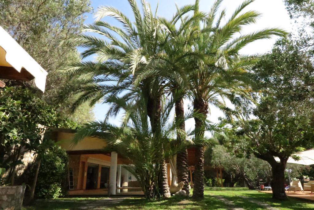 Villaggio Garden Park Marina di Camerota Dış mekan fotoğraf